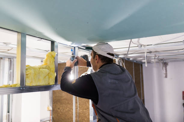 Best Insulation Materials and Products in Sibley, LA