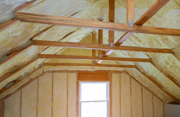 Best Specialty Insulation in Sibley, LA