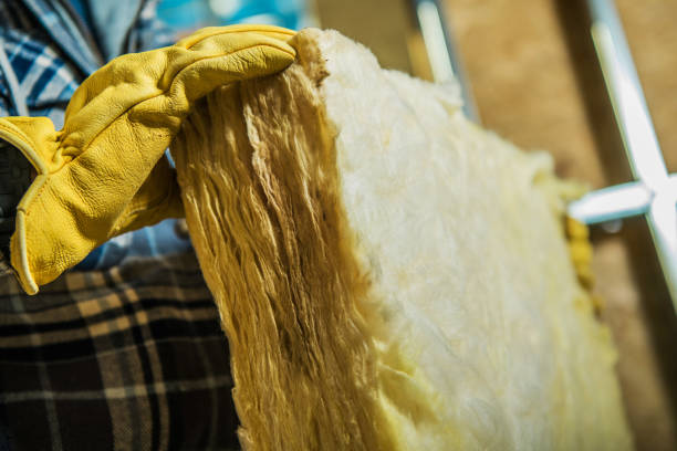 Best Insulation Maintenance and Repair in Sibley, LA